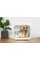 Сушка PETKIT AIRSALON Max PRO Smart Pet Dryer